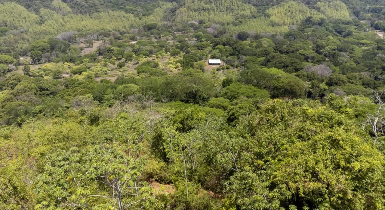 Farm for sale in Puntarenas Lepanto Costa Rica - photo 8