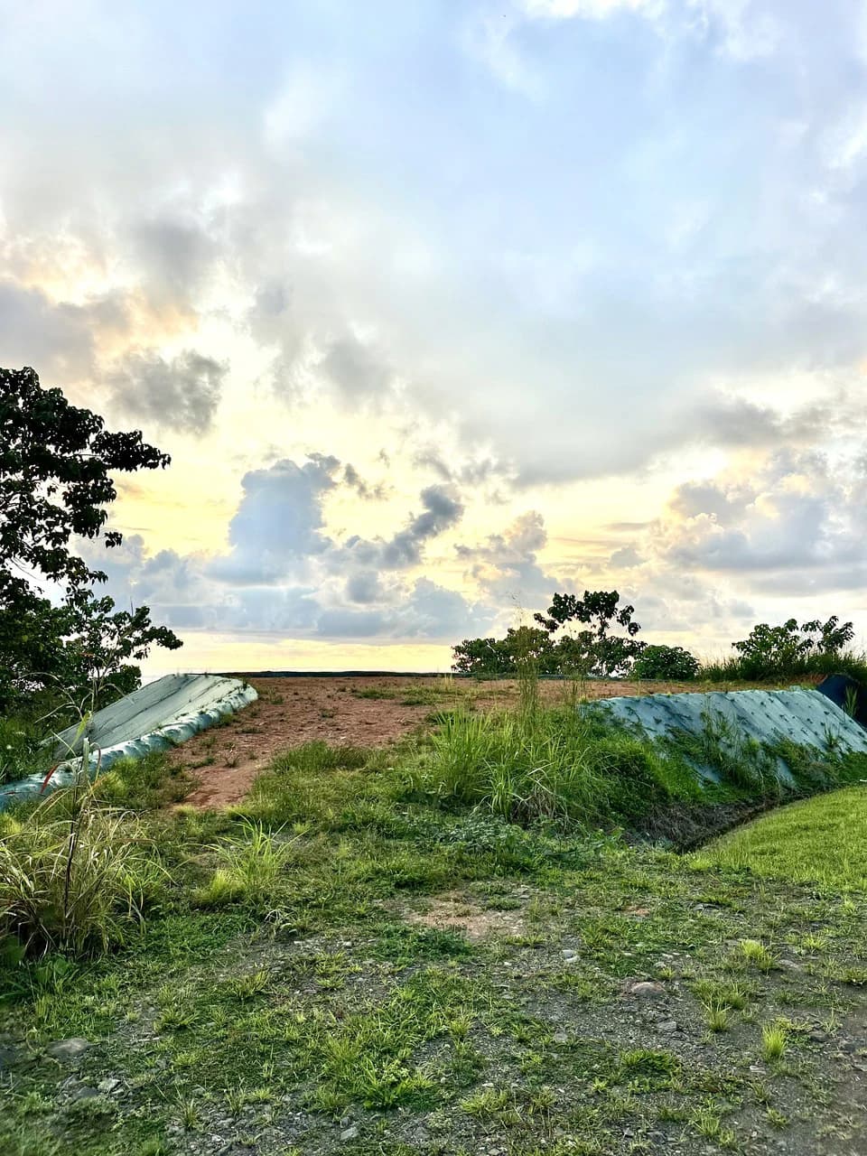 Price Reduced! Panoramic Ocean View Lot in Prestigious Phase 11 Ojochal – 2.77 Acres with Luxury 3D Home Design Included - photo 20