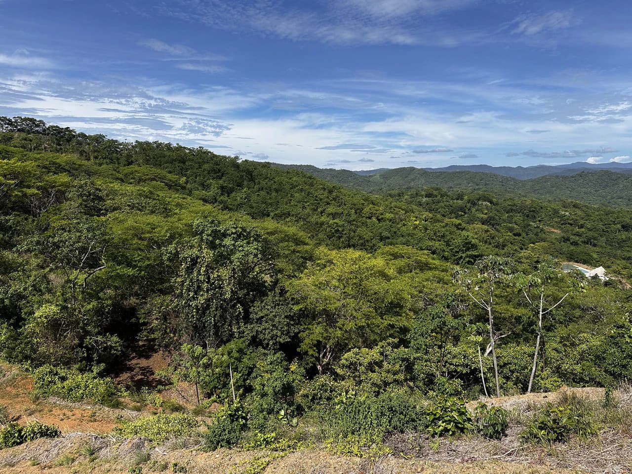 Ocean View Lot Negra Beach: Ocean View Hilltop Lot In Negra Beach, Finca Los Pargos - photo 10