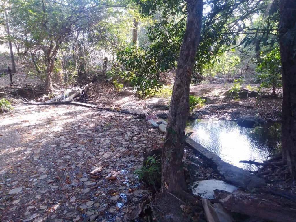 Huge agricultural land for sale near Liberia – excellent investment opportunity with river frontage in Bagaces - photo 6