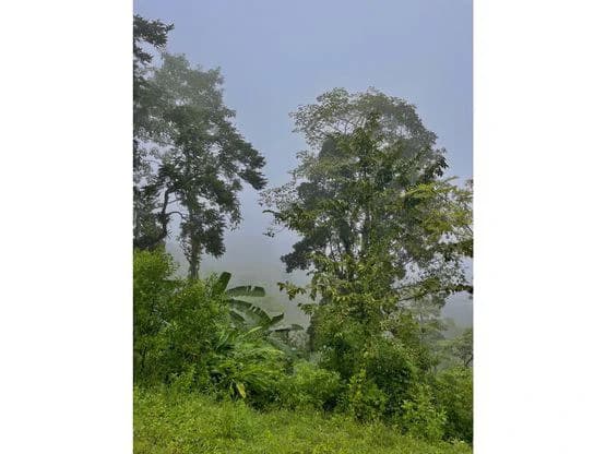 SPECTACULAR ECOLOGICAL MOUNTAIN FARM IN BIJAGUAL DE TURRUBARES - photo 23
