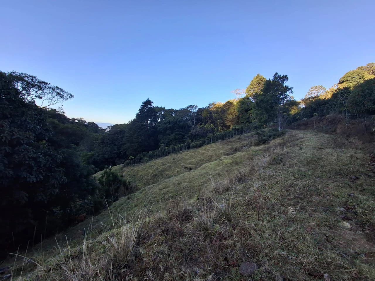 Cafetalero or Developer?: 25,378 m2 with Views of the Central Valley!! - photo 5