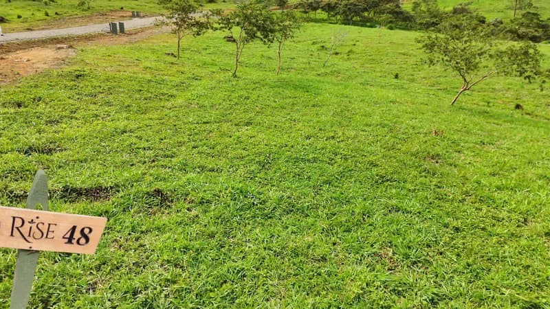 lote 48 RISE: BEAUTIFUL LOT FOR SALE IN THE HEART OF RISE COSTA RICA WITH CREEK (63,475 SQFT) - photo 3