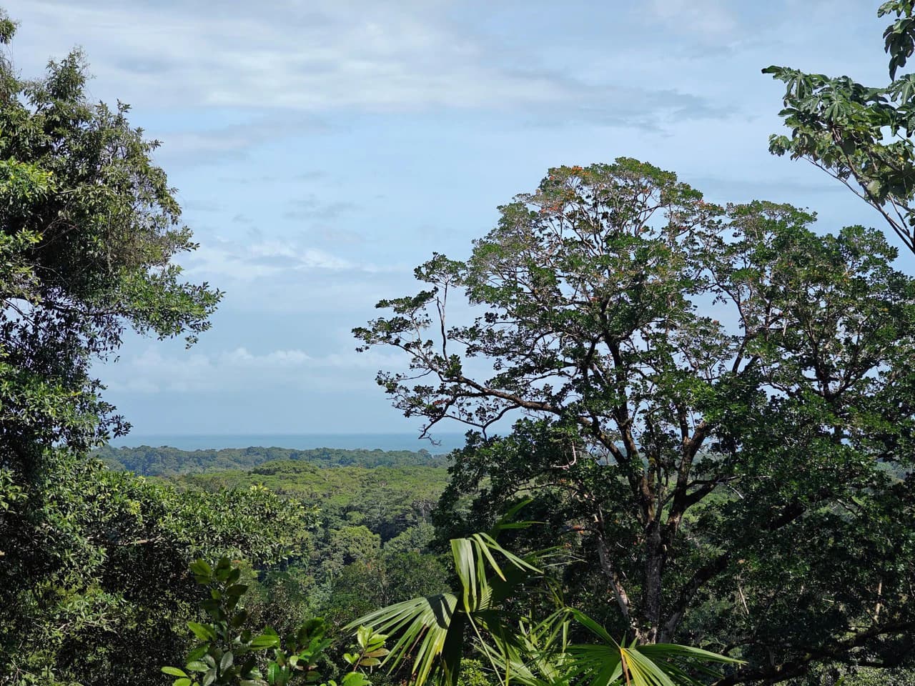 61,618m² of Land near Cahuita: With Existing Infrastructure and Ocean View - photo 5