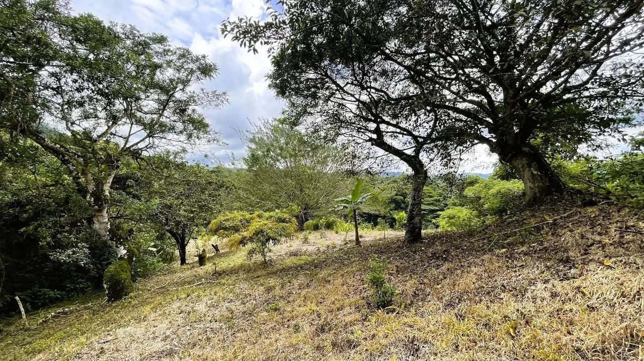LAND FOR SALE IN SAN MIGUEL, NARANJO - photo 20