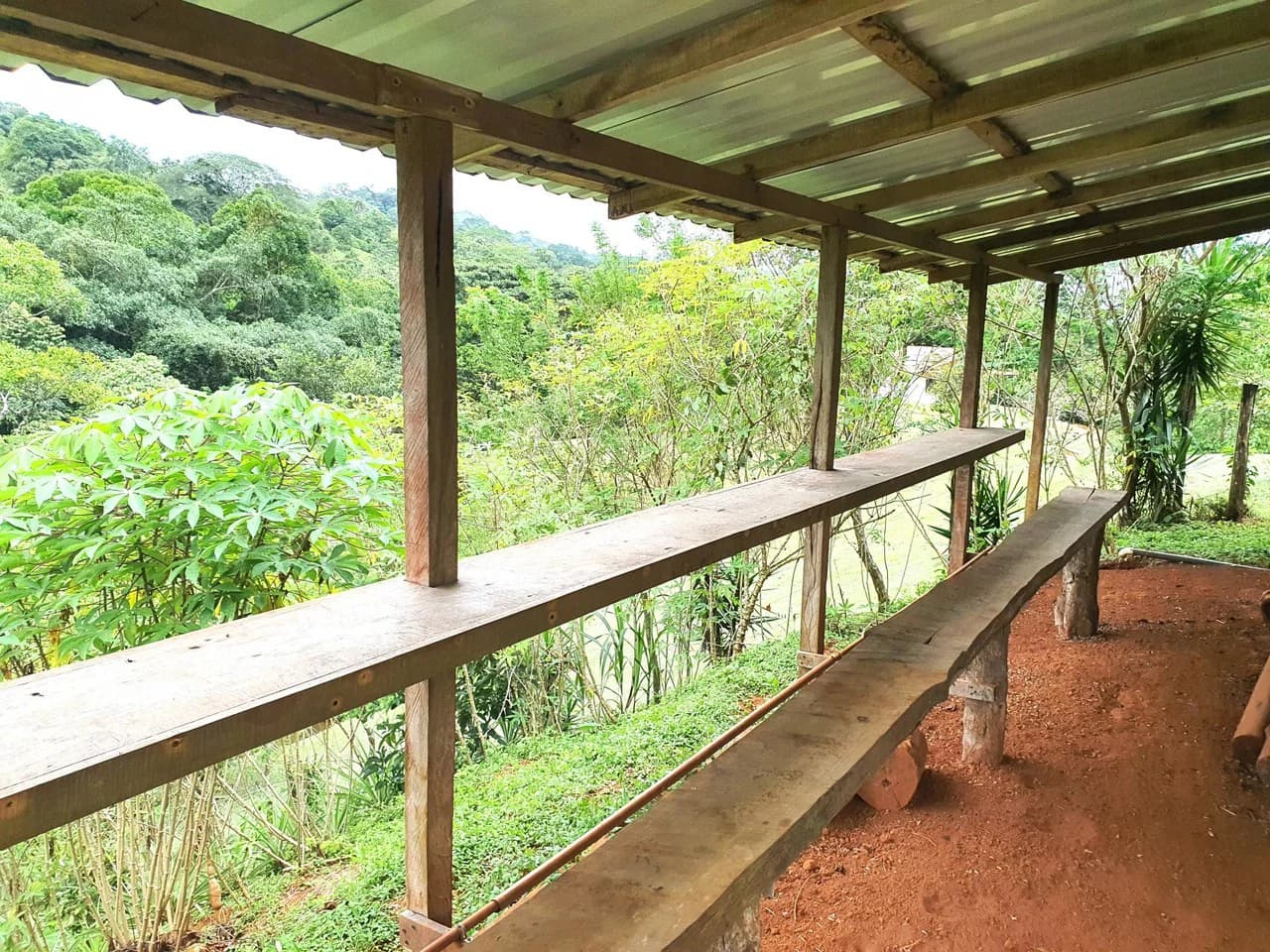 Land in Bijagual with a river crossing the property!