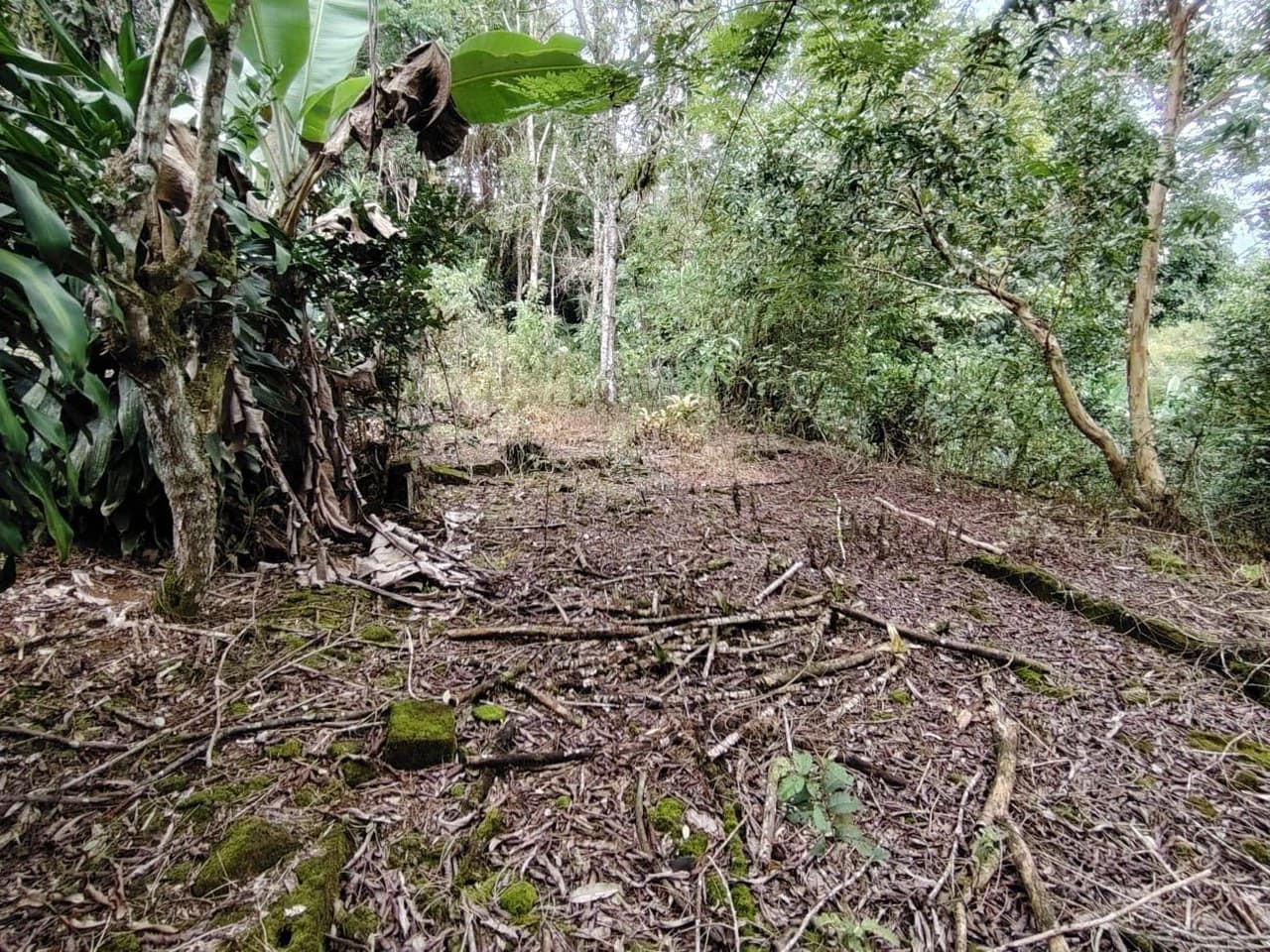 Home Construction Site For Sale in General Viejo - photo 18