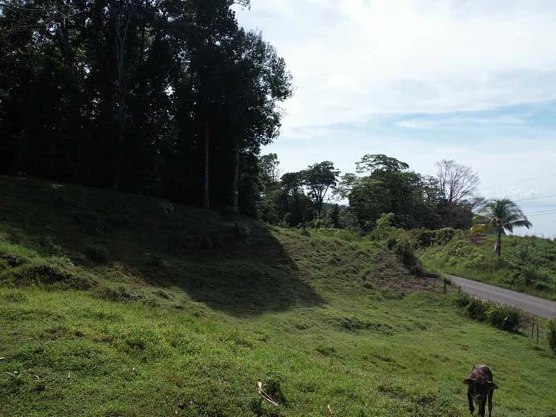 69.16 Acres Property | Mountain & Top Ocean View with Small Home - photo 14