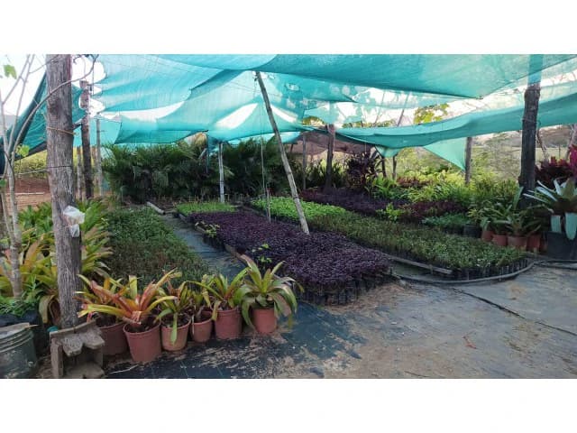 Exclusive lot for sale in Hojancha's green, tropical, rolling mountains, just 3 minutes from town - photo 6