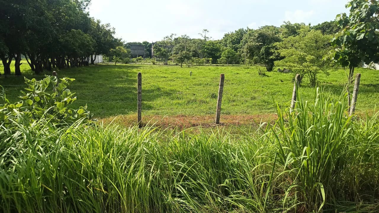 Industrial Property Complex for Sale – Prime Location on Route #21, Just 5 Minutes from Liberia International Airport - photo 16