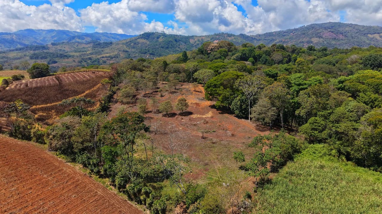 Agricultural Land For Sale in Daniel Flores - photo 9