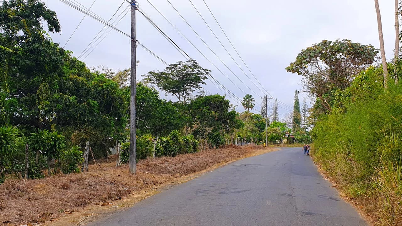 FRUIT TREE PROPERTY FOR SALE: Home Construction Site For Sale in San Isidro del General - photo 7