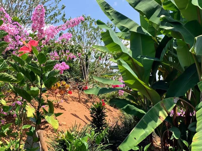 One-Bedroom with a Valley View!: Mountain House For Sale in San Rafael Norte - photo 18