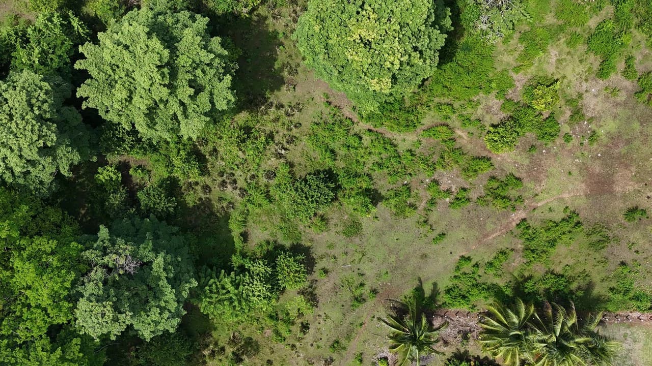 Walk to the beach, Developement Land, Mini Ranch, Central Uvita - photo 6