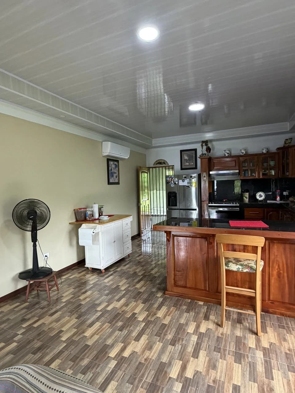 Country house with fruit trees for sales Upala Costa Rica - photo 3