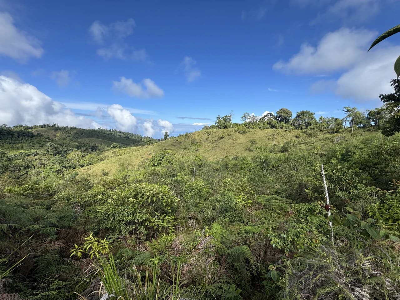 47 Acre Off Grid Ranch with Ocean & Mountain Views San Lorenzo Perez Zeledón - photo 25