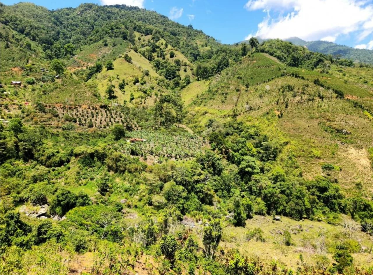 Modern Country House with Guest Cottage Amidst a Coffee Plantation in Perez Zeledon, Costa Rica - photo 45