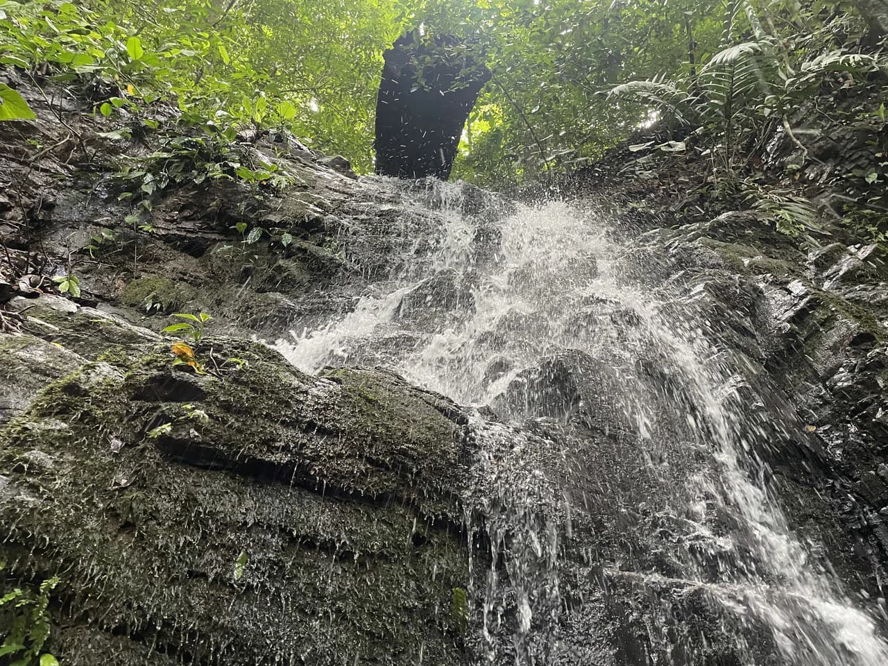 TROPICAL MASTERPIECE – 61.78 ACRES OF OCEANVIEW BLISS WITH WATERFALL: Mountain Development Parcel For Sale in Tres Rios - photo 13