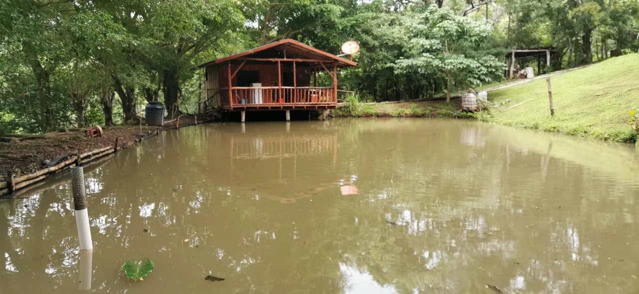 Agricultural Farm for Sale in the mountains of Hojancha, Beautiful 25-acre property with floating lake Apartment and Huge main home