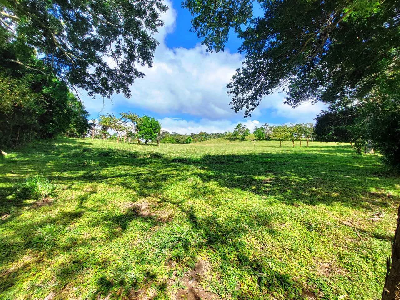 LA CABAÑA - 13+ ACRES & a TINY HOUSE & outstanding VIEWS - REDUCED PRICE - SELLER MOTIVATED - photo 19