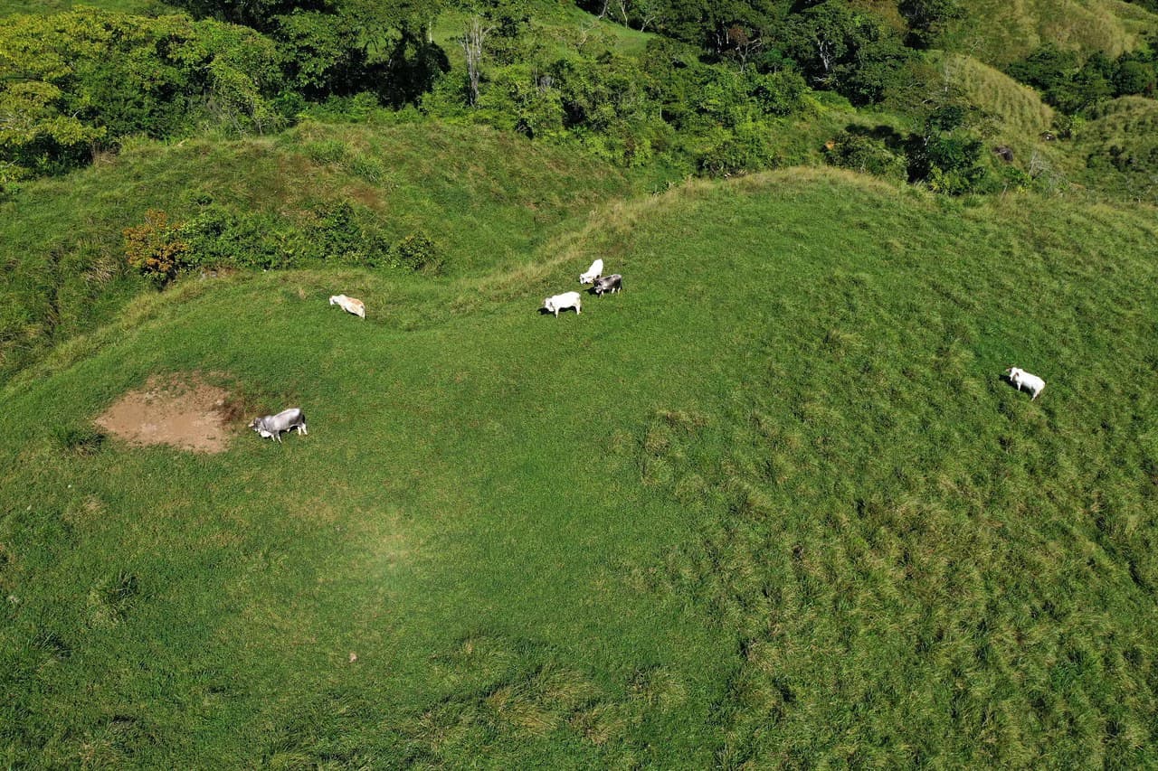 150 Acre Cattle Ranch with Panoramic Views Above the mountains of Uvita - photo 19