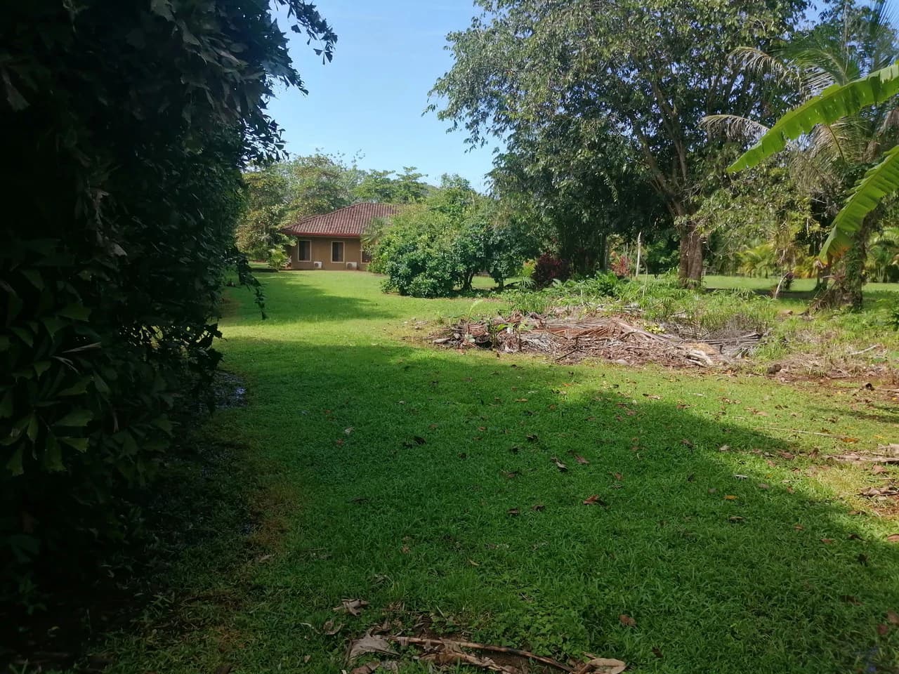 Amazing Home on Huge Lot Near the Beach - photo 41