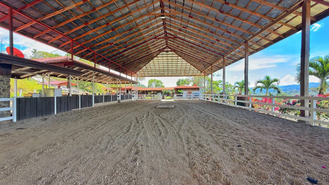 Agricultural Land For Sale in Daniel Flores - photo 13