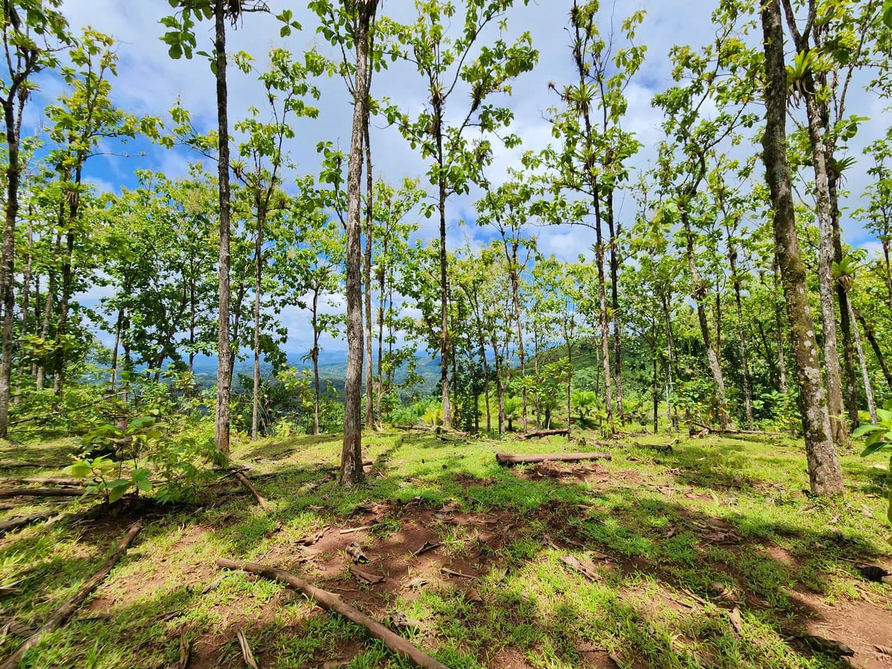 PRIME PARRITA FARM FOR SALE - photo 42