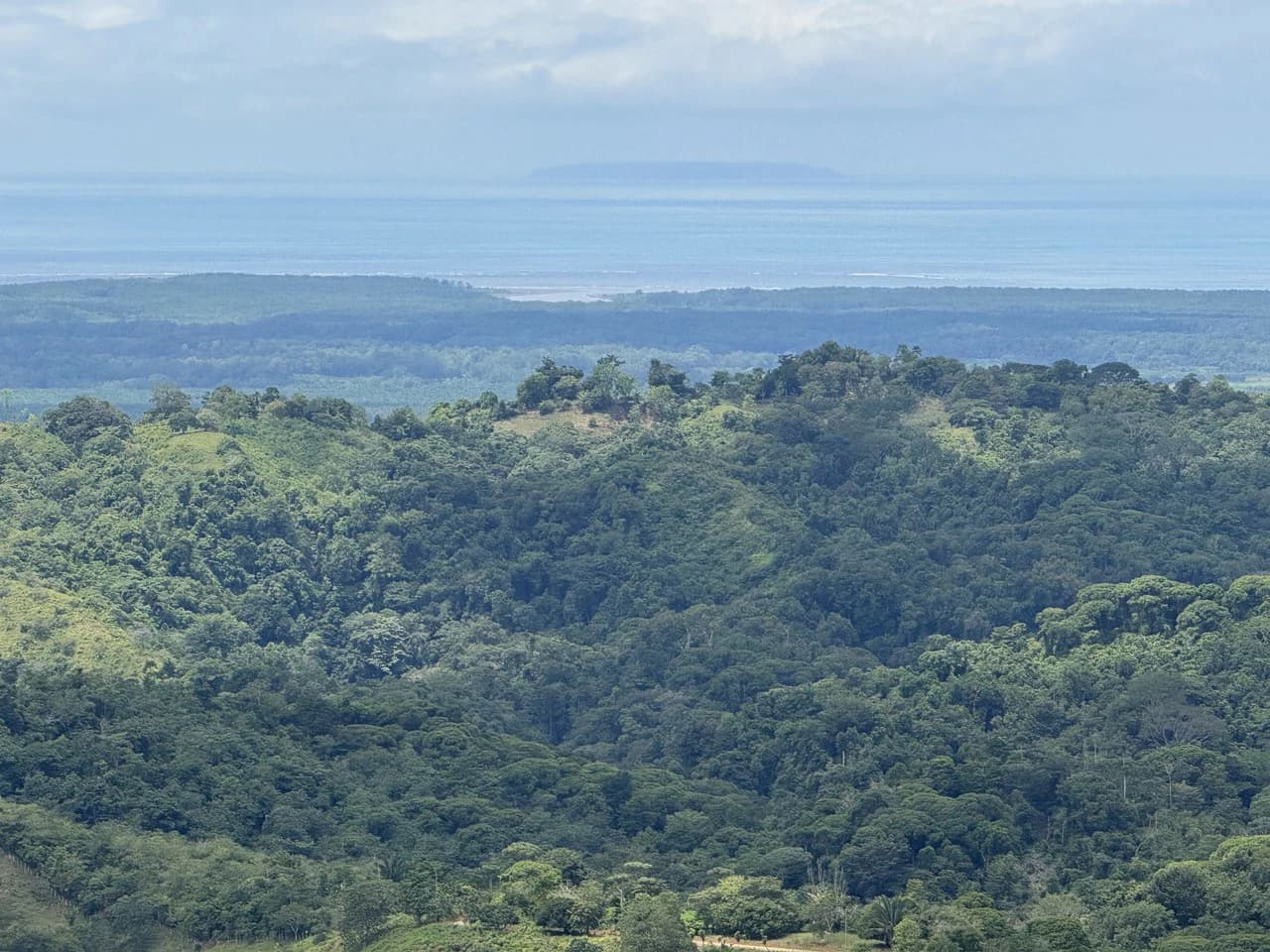 137 Acre Ocean View Farm with Riverfront in Southern Costa Rica - photo 13