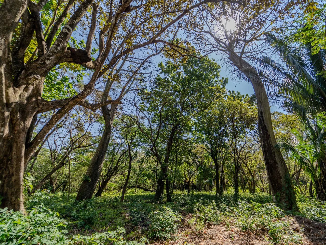 Finca Punta Indio: Dream Investment Opportunity - photo 6