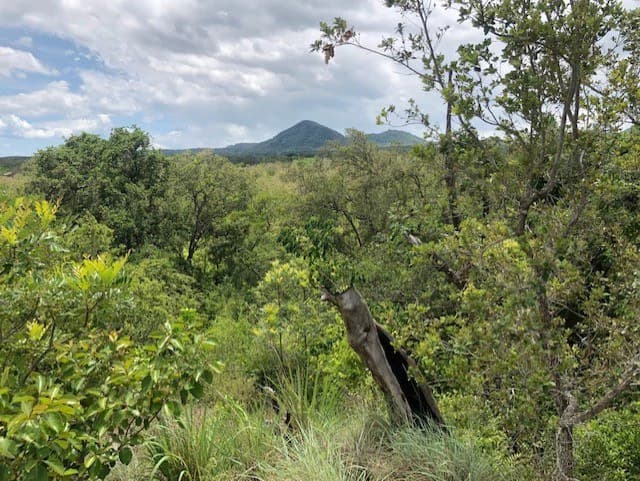 Mountain Farm for Sale in Liberia – Nature, Privacy, and High Investment Potential - photo 27
