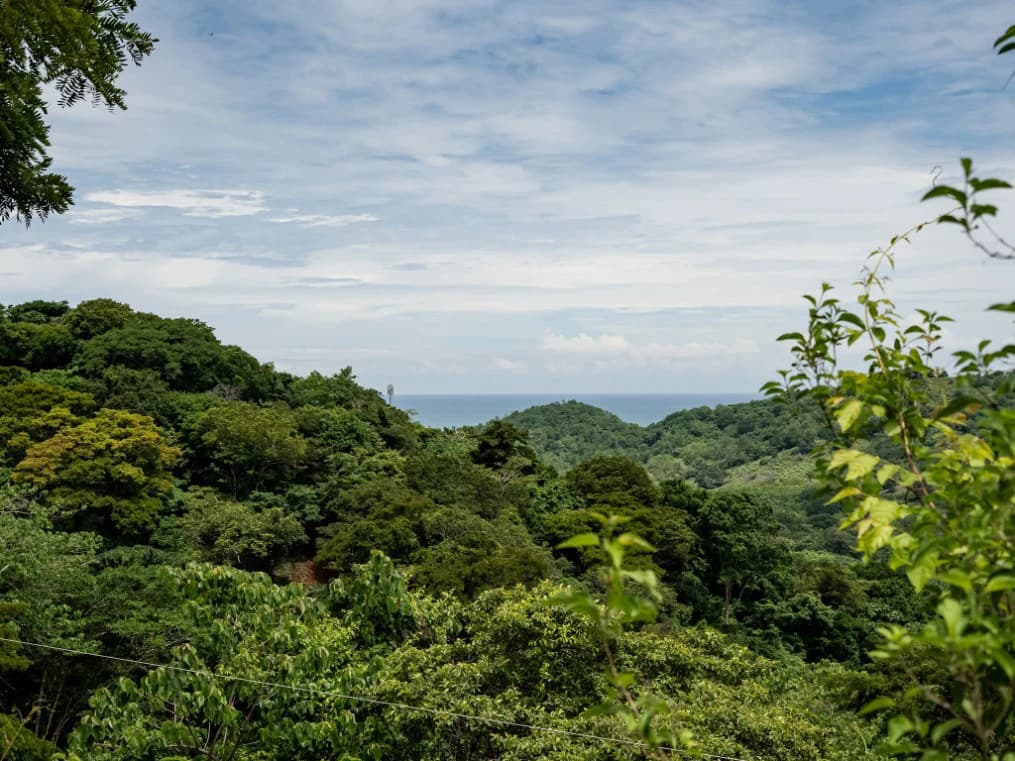 Lote Vista Lapa - 2.1 Acre Ocean View Lot: Countryside Home Construction Site For Sale in Playa Samara - photo 9