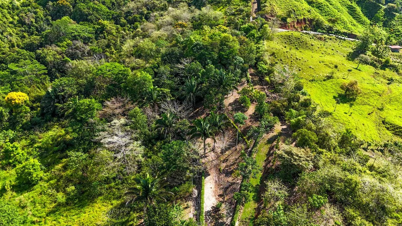32 Acre Self Sustainable Farm with House Close Ojochal - photo 2