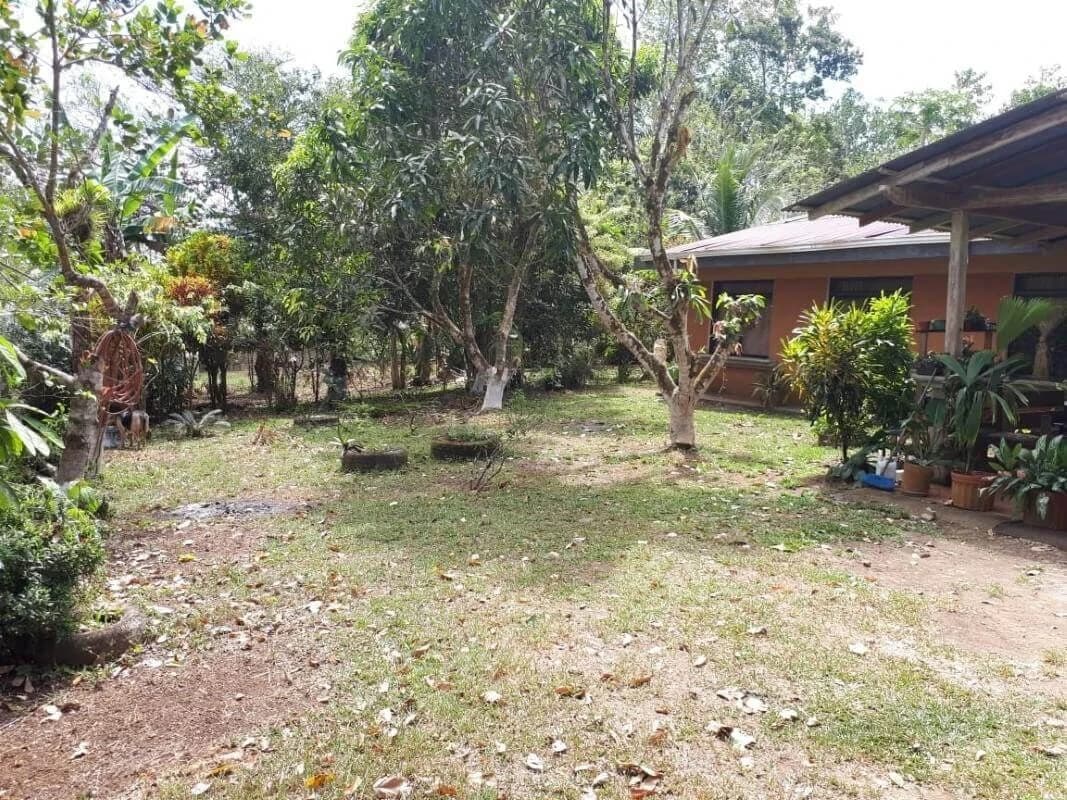 land for sale Alajuela San Carlos Pocosol Santa Maria Santa Rosa - photo 3