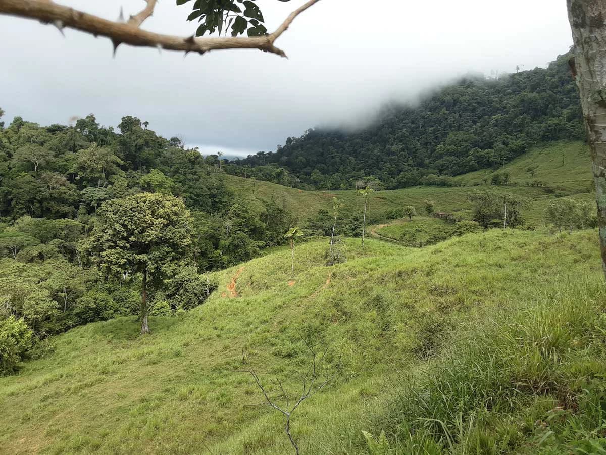 Finca Tesoro Escondido - The Jewel of Uvita - photo 39