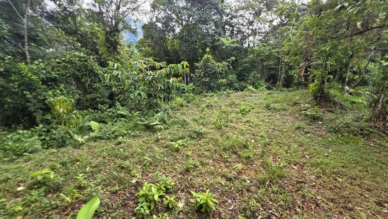 116-Hectare Finca for Sale Near Uvita with Whales Tail Views and 10 Waterfalls | La Faralla, Bahia Ballena, Uvita, Puntarenas, Costa Rica - photo 14