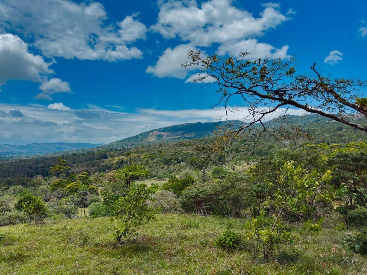 Finca Abuelo: Riverfront, Mountain and Countryside Agricultural Land For Sale in Aguas Claras - photo 7