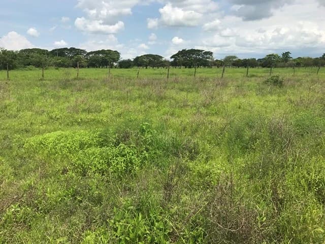 Commercial Development Land for Sale in Guanacaste, Costa Rica - photo 4