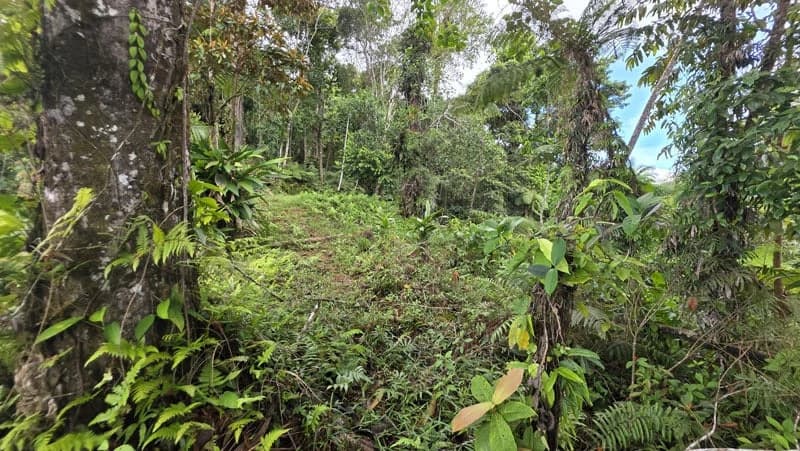 116-Hectare Finca for Sale Near Uvita with Whales Tail Views and 10 Waterfalls | La Faralla, Bahia Ballena, Uvita, Puntarenas, Costa Rica - photo 12