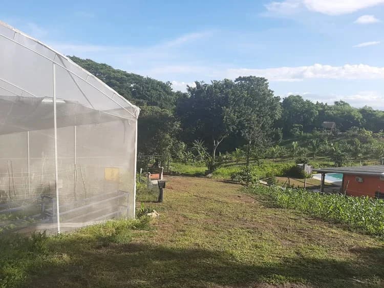 Organic Finca Eco Dreams: $799,000 USDOrganic Finca Eco Dreams – Sustainable Eco Farm for Sale Near Playa Naranjo, Costa Rica Luxury Self-Sustainable Farm, Solar-Powered Estate & Investment Property o - photo 37