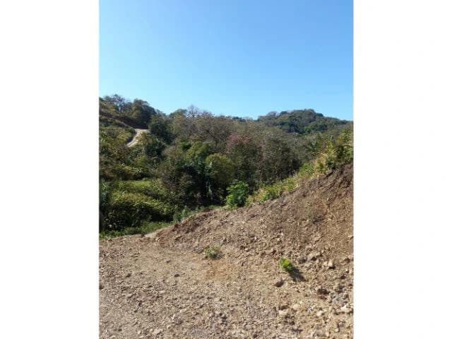 Builing Lots for sale in a pristine and peacefull woodland 3 km from Samara Beach - photo 4