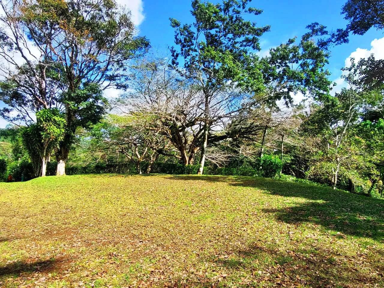 RAINBOW BAY - Beautiful 3.5 acre Lot in Gated Community - photo 13