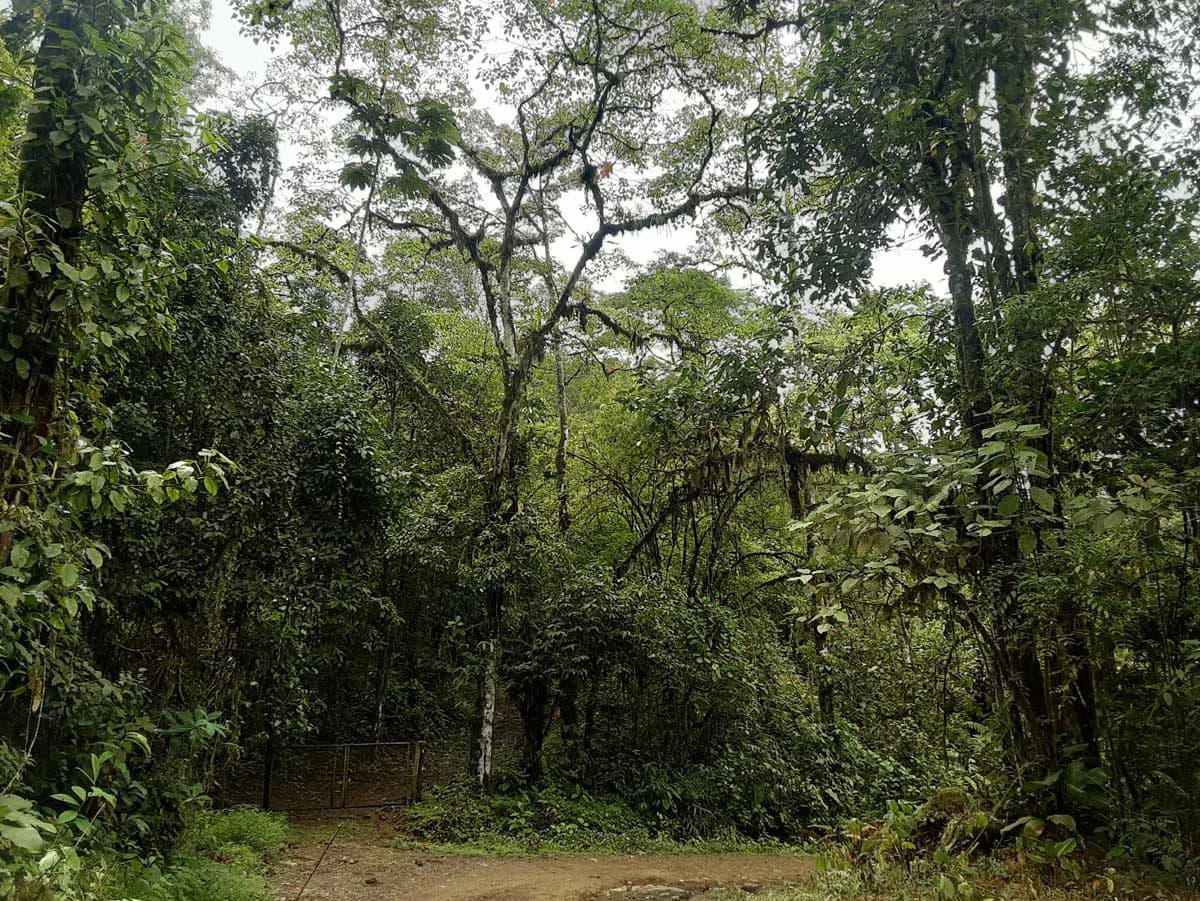 Finca Tesoro Escondido - The Jewel of Uvita - photo 20