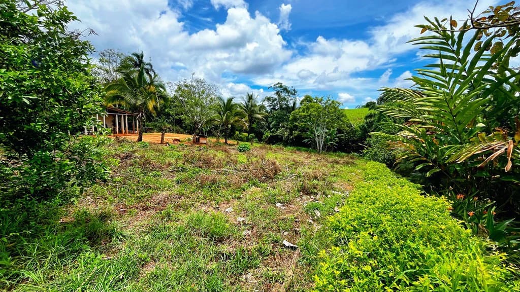 Home Construction Site For Sale in El Pilar - photo 3