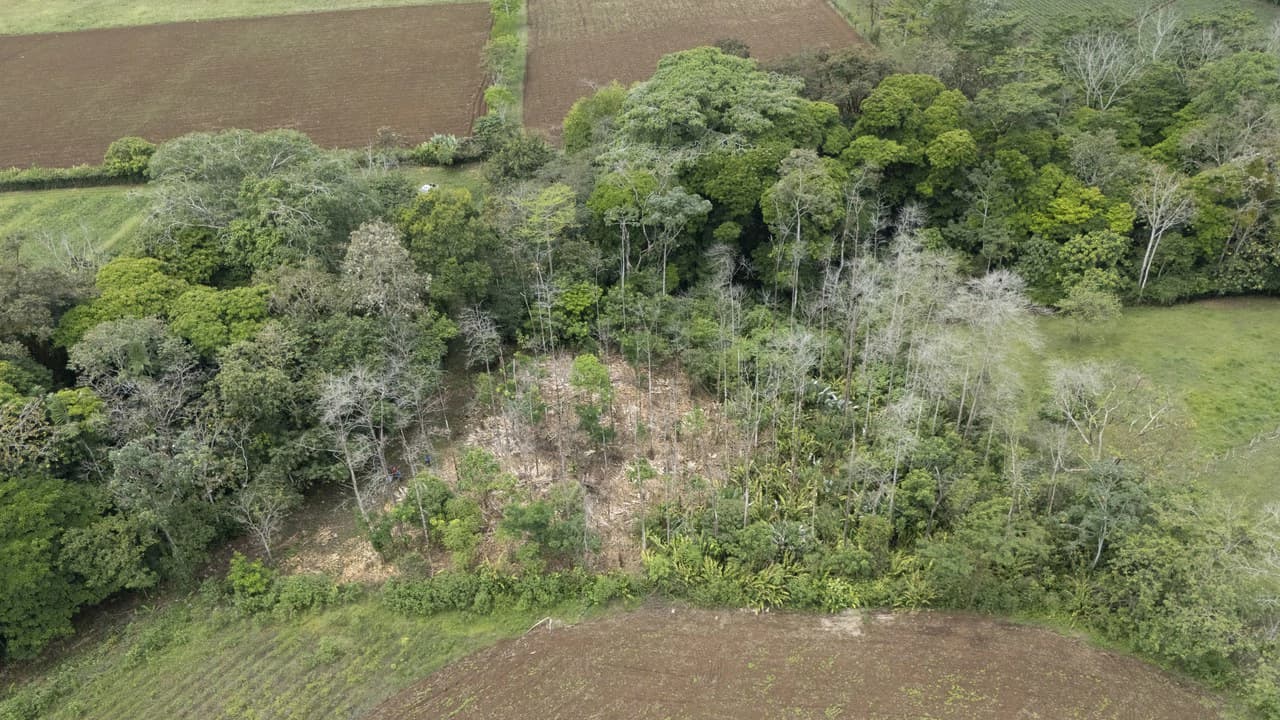 $8 Dollars per meter: Countryside Development Parcel For Sale in Los Angeles - photo 12