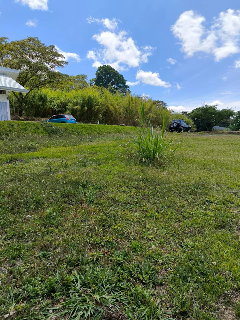 Lot for sale in San Miguel Grecia - photo 2