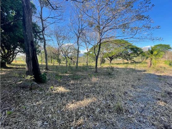For Sale: This beautiful flat lot in La Ceiba of Orotina - photo 12