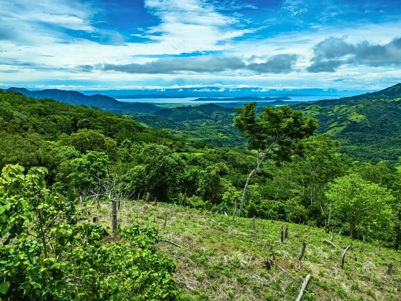 Gulf View Mountain Farm - photo 4