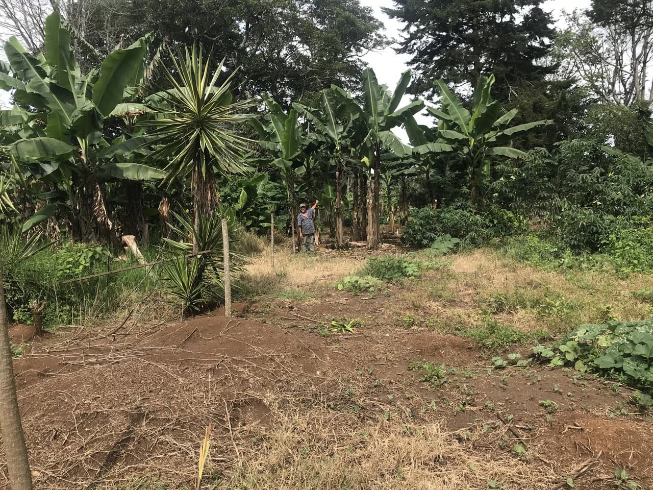 LOTES SAN ISIDRO HEREDIA: BEAUTIFUL LOTS IN SAN ISIDRO HEREDIA