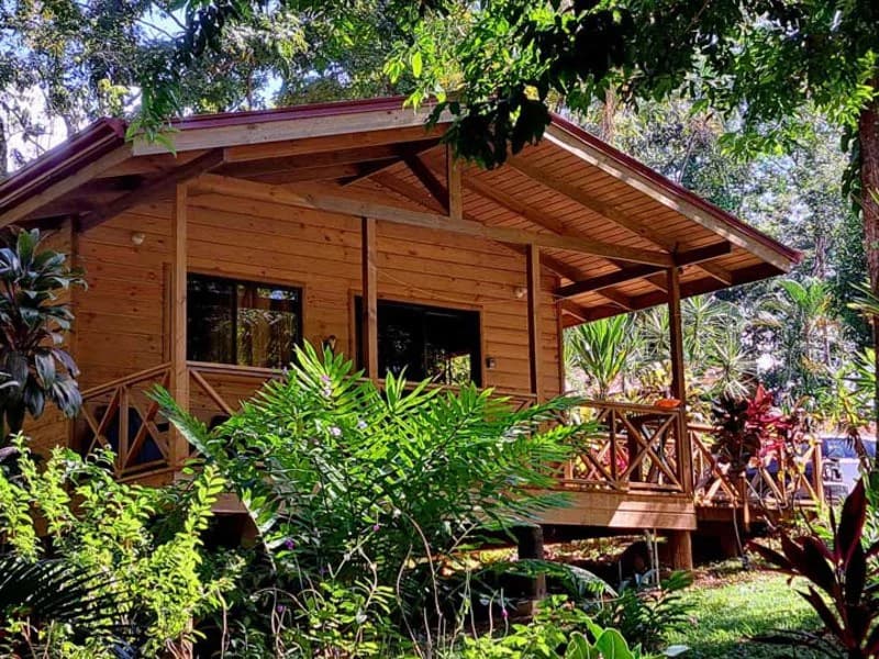 8 Cabinas with Swimming Pool on Lush Jungle Property in Uvita - photo 2